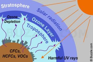 ওজন গর্ত (Ozone hole) অবলোকন এবং ধংসের থেকে বেঁচে গেছে পৃথিবী