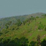 তাজিংডং পাহাড়ে ইটভাটা স্থাপন, সাবেক উপজেলা চেয়ারম্যানের ১০ বছরের জেল