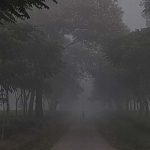 শ্রীমঙ্গলে দেশের সর্বনিম্ন তাপমাত্রা ৬ ডিগ্রি সেলসিয়াস রেকর্ড