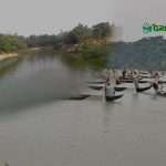 করোনাভাইরাস: হালদা নদীতে ডিম ছাড়ার অনুকূল পরিবেশ সৃষ্টি হয়েছে